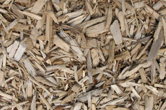 biomass boilers Bladon